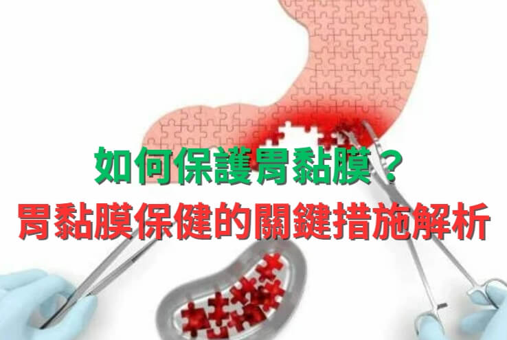 如何保護胃黏膜？胃黏膜保健的關鍵措施解析