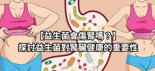【益生菌會傷腎嗎？】探討益生菌對腎臟健康的重要性